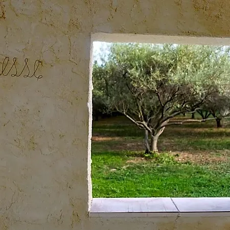 לינה וארוחת בוקר Mas De L'arrivette Saint-Geniès-de-Comolas