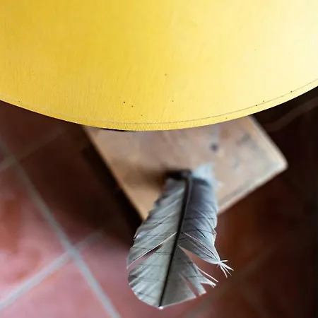 B&B Mas De L'arrivette